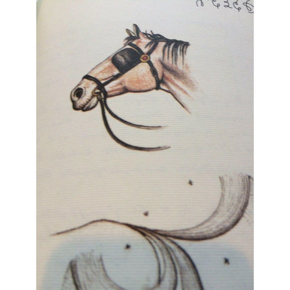 Luigi Serafini Codex Seraphinianus Print 95B - Picture 9 of 14